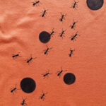 ants ball-women-orange-close up
